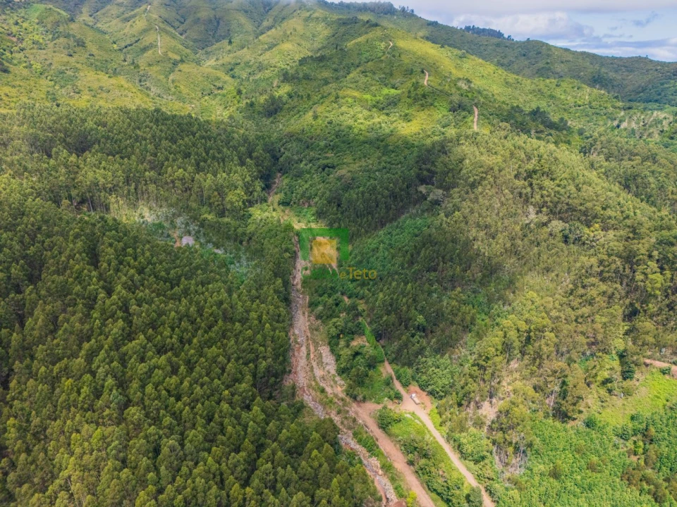 Terreno para Venda em Santo Antonio da Serra Foto 5