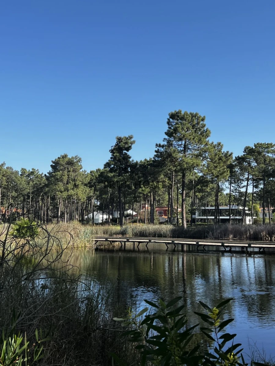 Terreno para Venda em Charneca de Caparica e Sobreda Foto 3