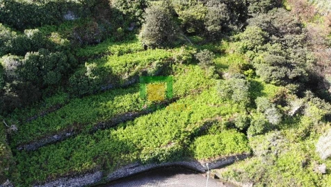 Terreno para Venda em Porto Moniz