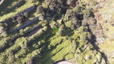 Terreno para Venda em Porto Moniz