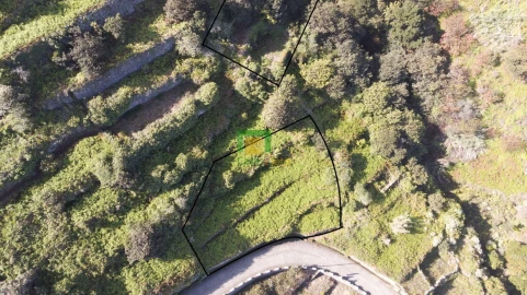 Terreno para Venda em Porto Moniz