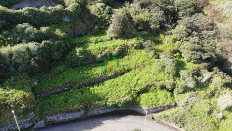 Terreno para Venda em Porto Moniz