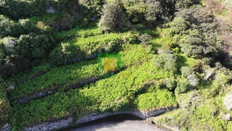 Terreno para Venda em Porto Moniz