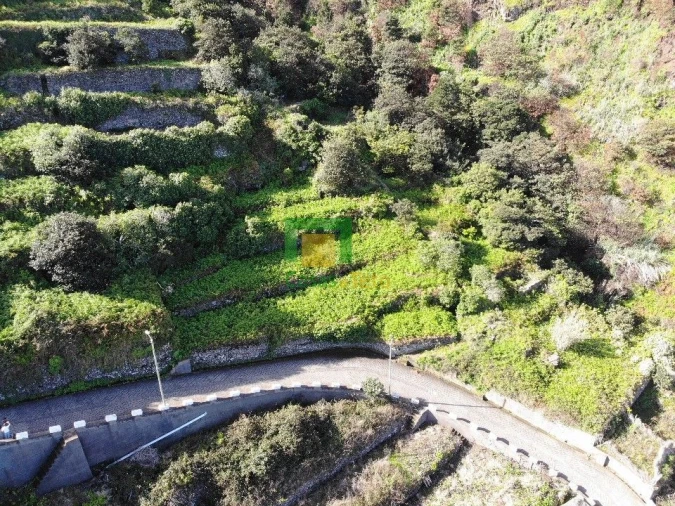 Terreno para Venda em Porto Moniz Foto 10