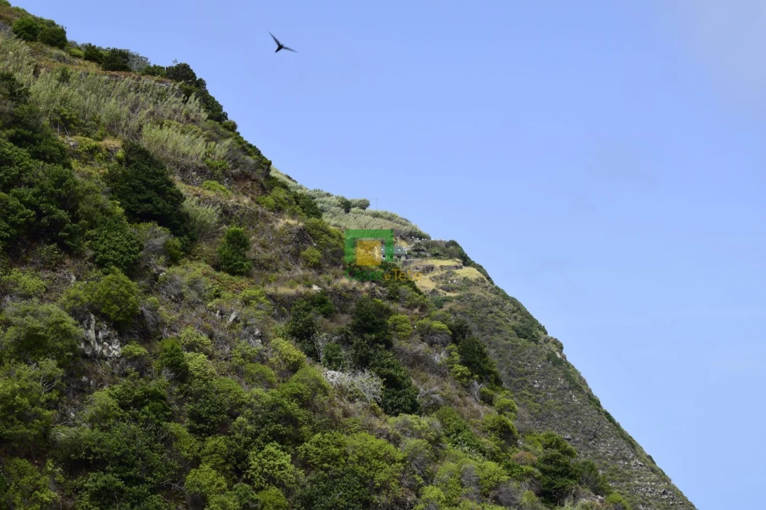 Terreno para Venda em Porto Moniz Foto 14