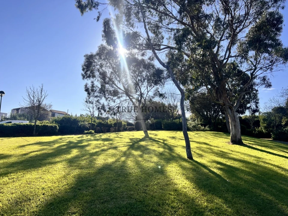 Terreno para Venda em Barcarena Foto 7