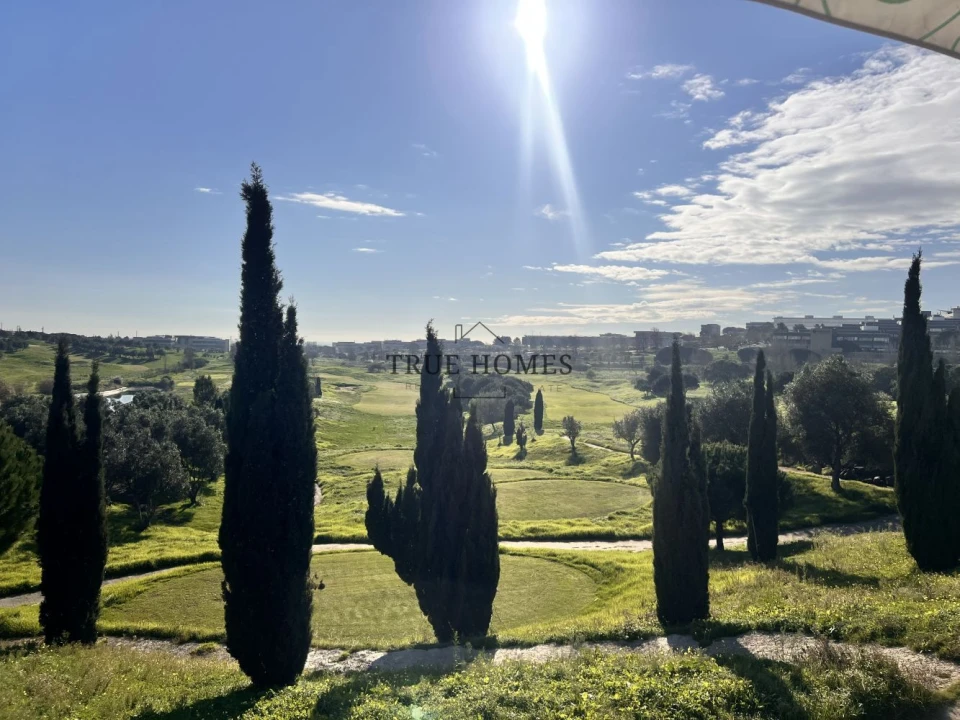 Terreno para Venda em Barcarena Foto 5