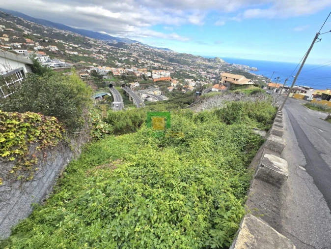 Terreno para Venda em Camara de Lobos Foto 4