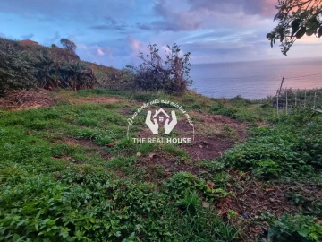 Terreno para Venda em Ribeira Brava