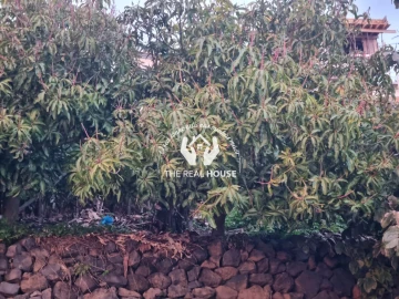 Terreno para Venda em Ribeira Brava