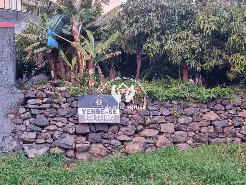 Terreno para Venda em Ribeira Brava Foto 5