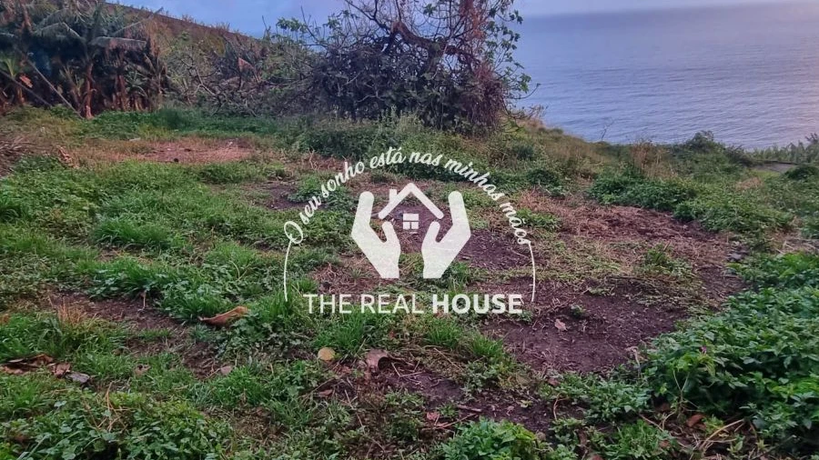 Terreno para Venda em Ribeira Brava