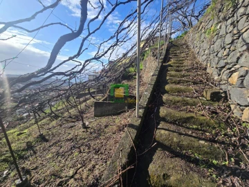 Terreno para Venda em Estreito de Camara de Lobos