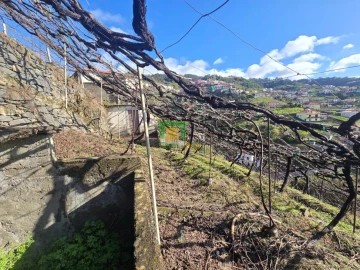 Terreno para Venda em Estreito de Camara de Lobos