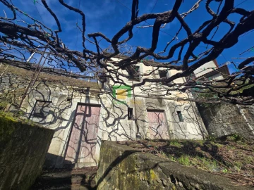 Terreno para Venda em Estreito de Camara de Lobos