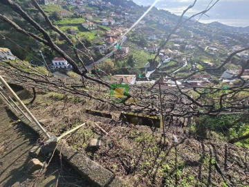 Terreno para Venda em Estreito de Camara de Lobos
