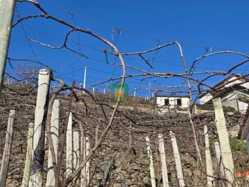 Terreno para Venda em Estreito de Camara de Lobos