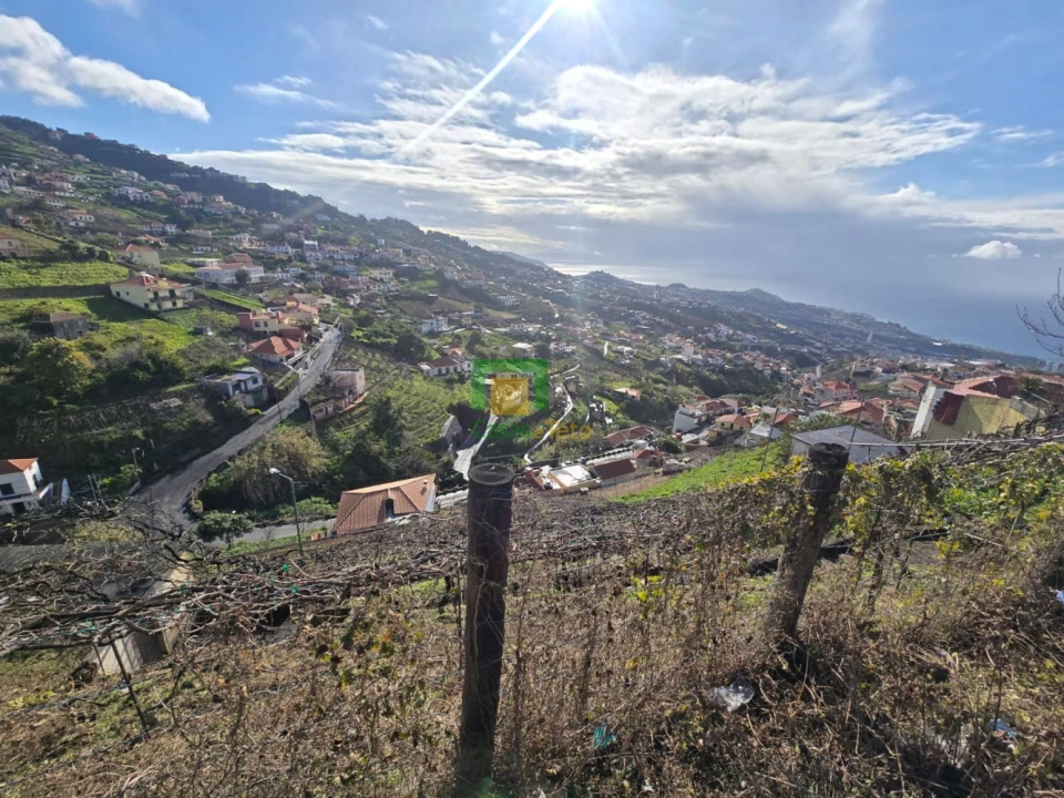 Terreno para Venda em Estreito de Camara de Lobos Foto 2