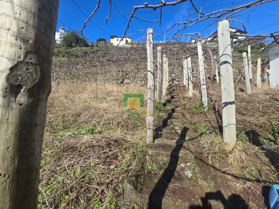 Terreno para Venda em Estreito de Camara de Lobos Foto 16