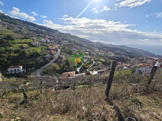 Terreno para Venda em Estreito de Camara de Lobos Foto 12