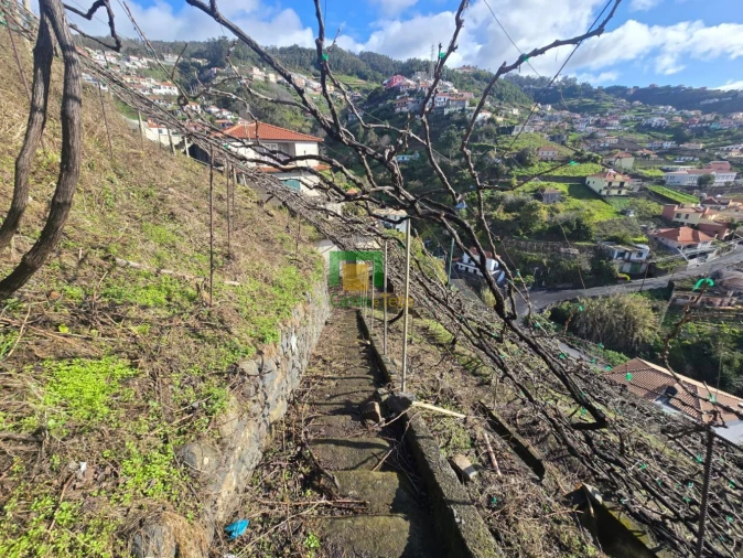 Terreno para Venda em Estreito de Camara de Lobos Foto 3
