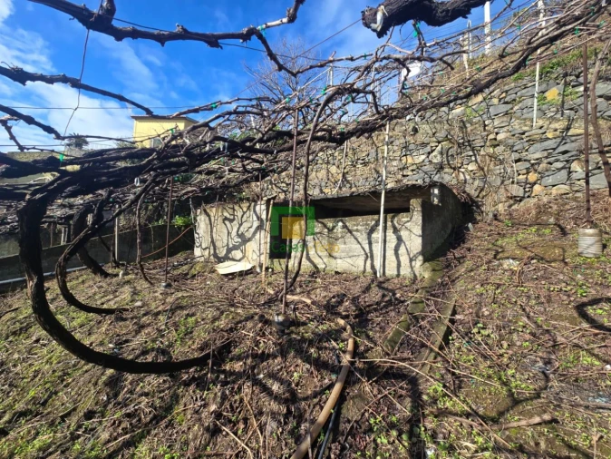 Terreno para Venda em Estreito de Camara de Lobos Foto 8