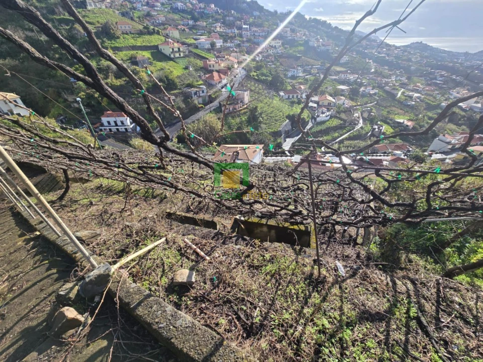 Terreno para Venda em Estreito de Camara de Lobos Foto 4