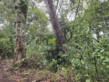 Terreno para Venda em Santana