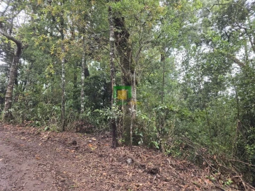 Terreno para Venda em Santana