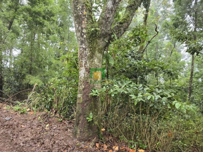 Terreno para Venda em Santana Foto 5