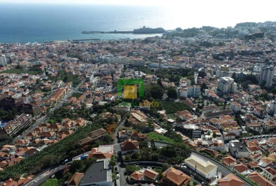 Apartamento T1 para Venda em Funchal (Santa Luzia)