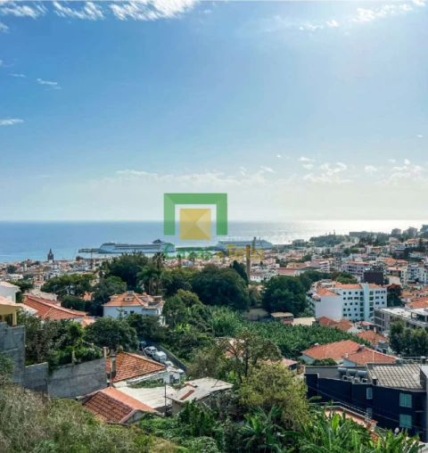 Apartamento T1 para Venda em Funchal (Santa Luzia)