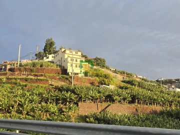 Terreno para Venda em Camara de Lobos