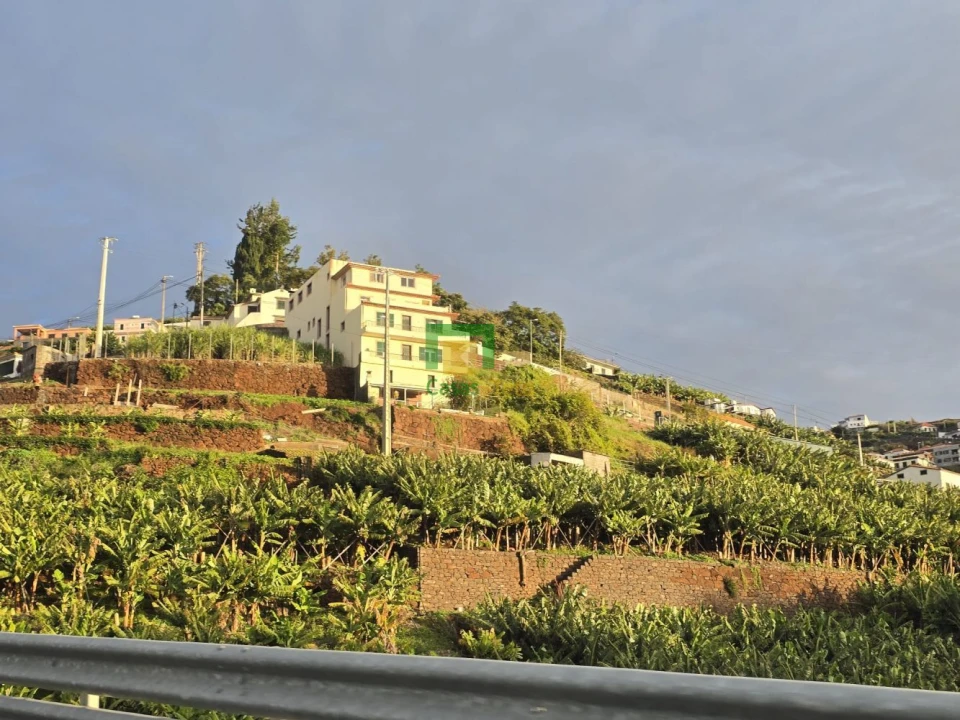 Terreno para Venda em Camara de Lobos Foto 3