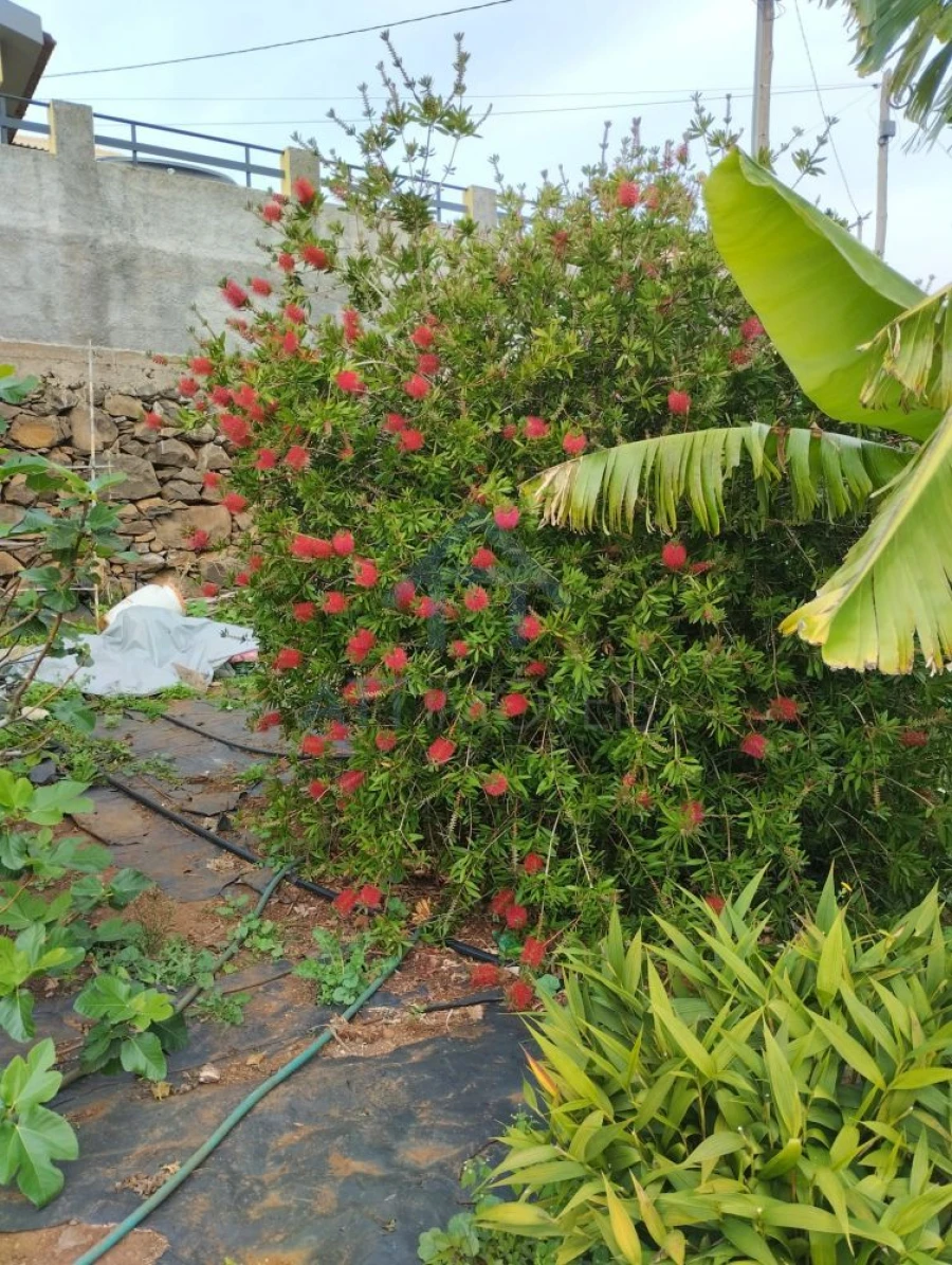 Terreno para Venda em Gaula Foto 2