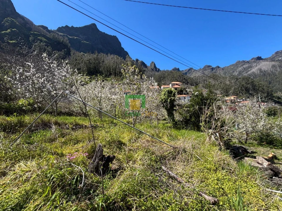 Moradia T1 para Venda em Curral das Freiras Foto 6