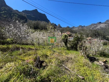 Moradia T1 para Venda em Curral das Freiras