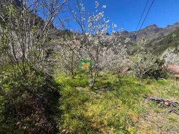 Moradia T1 para Venda em Curral das Freiras