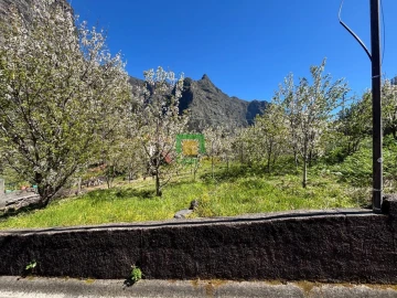 Moradia T1 para Venda em Curral das Freiras