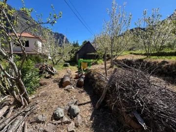 Moradia T1 para Venda em Curral das Freiras