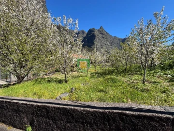 Moradia T1 para Venda em Curral das Freiras