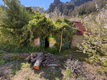 Moradia T1 para Venda em Curral das Freiras