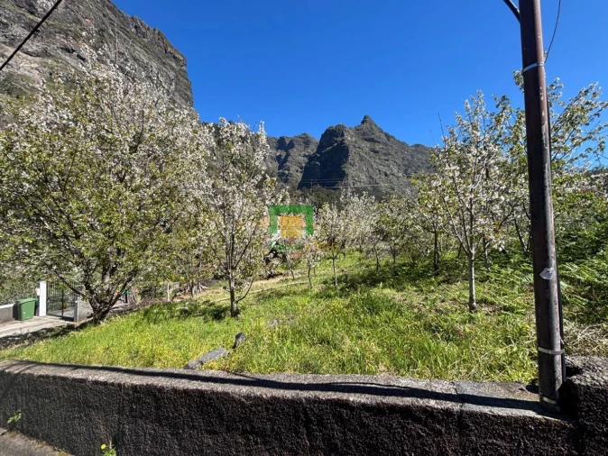 Moradia T1 para Venda em Curral das Freiras Foto 13