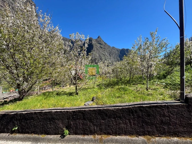 Moradia T1 para Venda em Curral das Freiras Foto 12