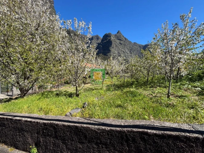 Moradia T1 para Venda em Curral das Freiras Foto 11