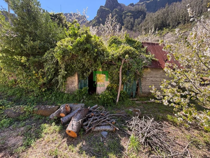 Moradia T1 para Venda em Curral das Freiras Foto 17