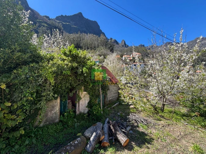 Moradia T1 para Venda em Curral das Freiras Foto 22