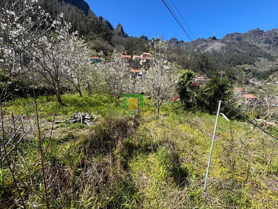 Moradia T1 para Venda em Curral das Freiras Foto 8