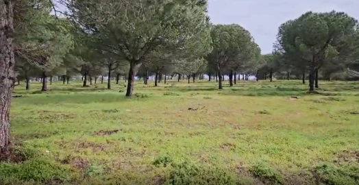 Terreno para Venda em Sines