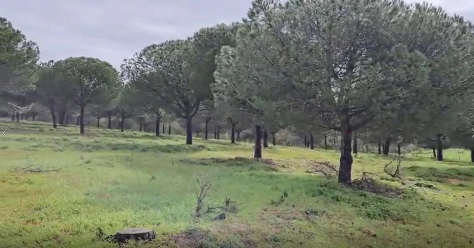 Terreno para Venda em Sines Foto 22